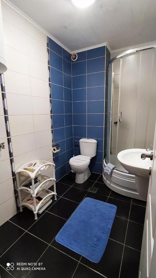 Apartmani - Vila Kovilje Banja Koviljača Exterior foto